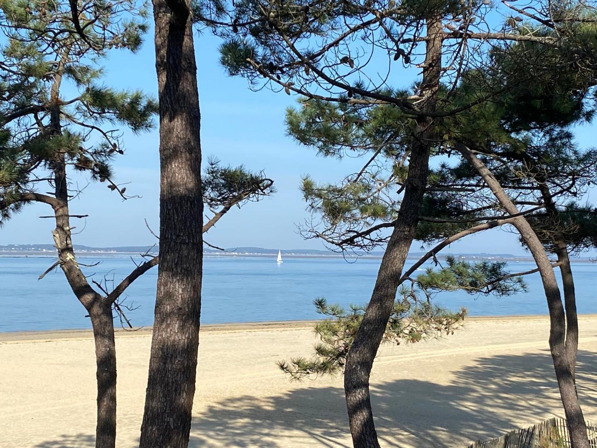 Charme & Confort- Les Cottages Du Bassin D'Arcachon- Petit-Dejeuner Sur Demande - Nuitee, Court Sejour, Semaine Гюжан-Местрас Экстерьер фото
