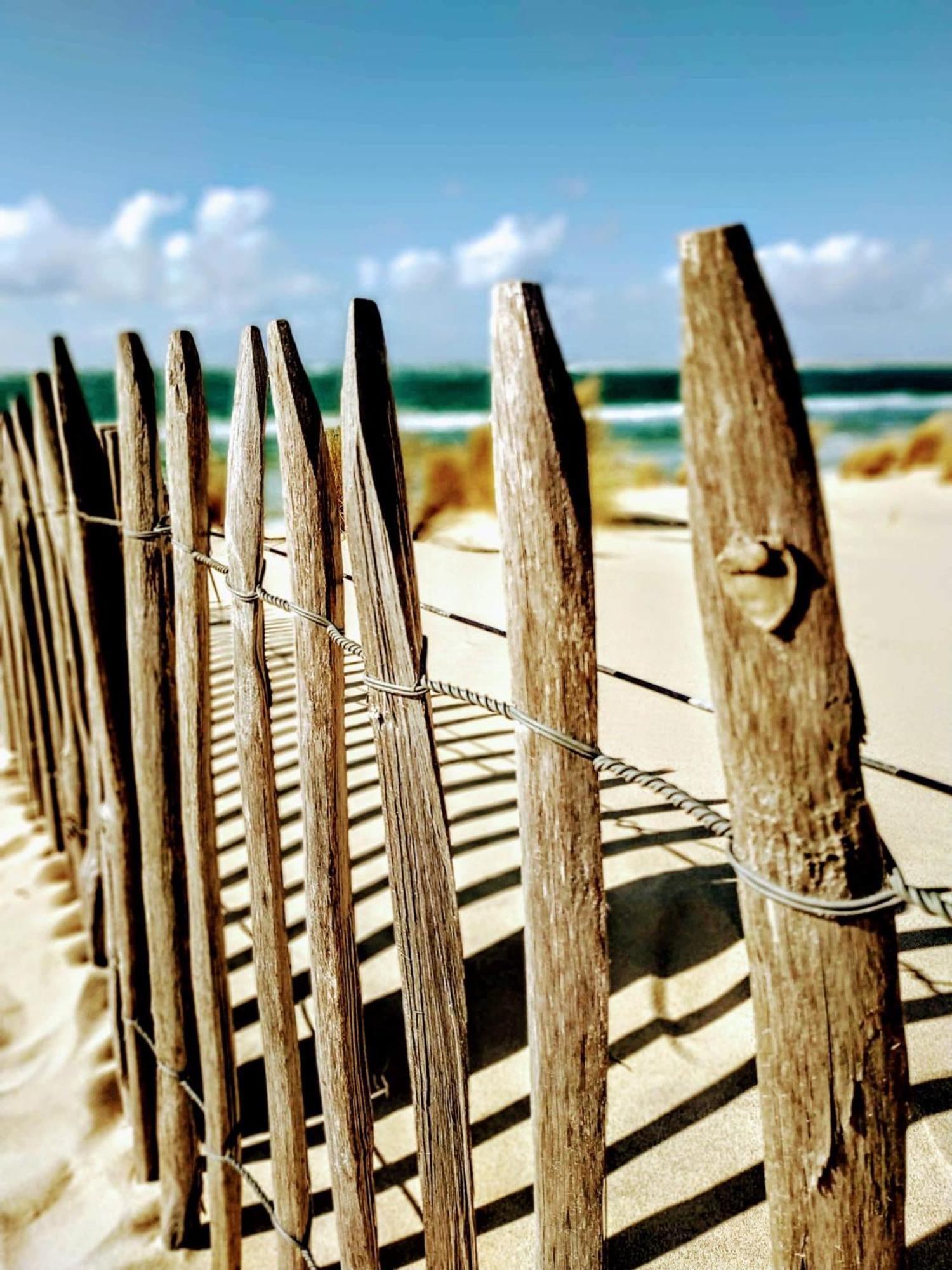 Charme & Confort- Les Cottages Du Bassin D'Arcachon- Petit-Dejeuner Sur Demande - Nuitee, Court Sejour, Semaine Гюжан-Местрас Экстерьер фото